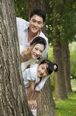 tkf005_2338115