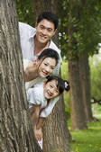 tkf005_2338116