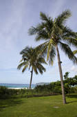 tkf005_2340532
