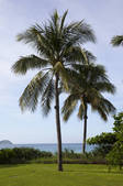 tkf005_2340533