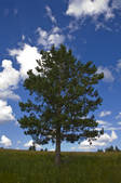 tkf005_2340710