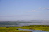 tkf005_2340730