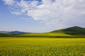 tkf005_2340746