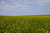 tkf005_2340765