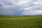 tkf005_2340798