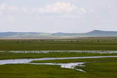 tkf005_2340799