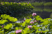 tkf005_2347208