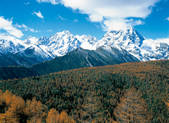tkf005_2347726