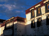 tkf005_2347760