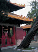 tkf005_2347803
