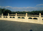 tkf005_2347843