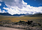 tkf005_2347852