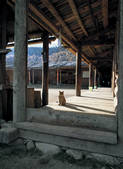 tkf005_2347856