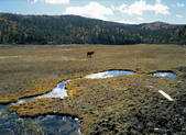 tkf005_2347865