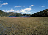 tkf005_2347881