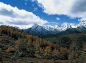tkf005_2347890