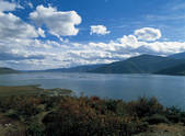 tkf005_2347891