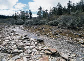 tkf005_2347894