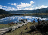 tkf005_2347898