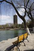 tkf005_2348176