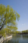 tkf005_2348301