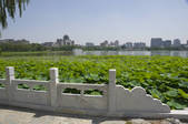 tkf005_2348601