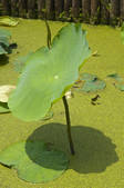 tkf005_2348617