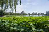 tkf005_2348629