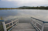 tkf005_2349283
