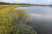 tkf005_2349284
