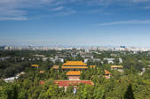 tkf005_2349330