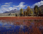 tkf005_2350195