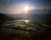 tkf005_2350210