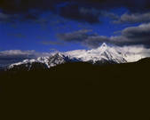 tkf005_2350212