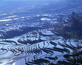 tkf005_2350213