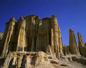 tkf005_2350214