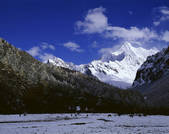 tkf005_2350215