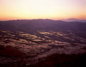 tkf005_2350220