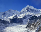 tkf005_2350244
