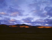 tkf005_2350246