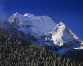 tkf005_2350250