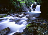 tkf005_2350301