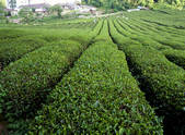 tkf005_2350303
