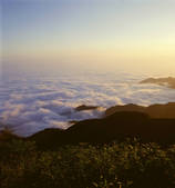 tkf005_2350307