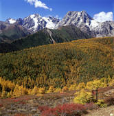 tkf005_2350309