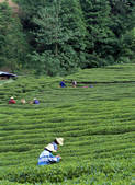 tkf005_2350374