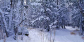 tkf005_2350466