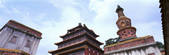 tkf005_2350490