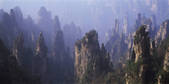 tkf005_2350616