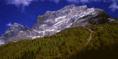 tkf005_2350641